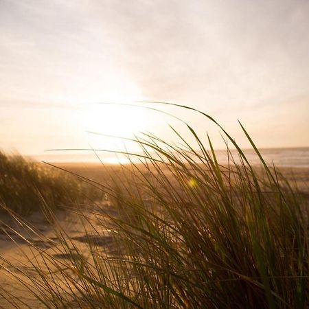 Kleine Nordseewelle Ohne Hund Norden Buitenkant foto
