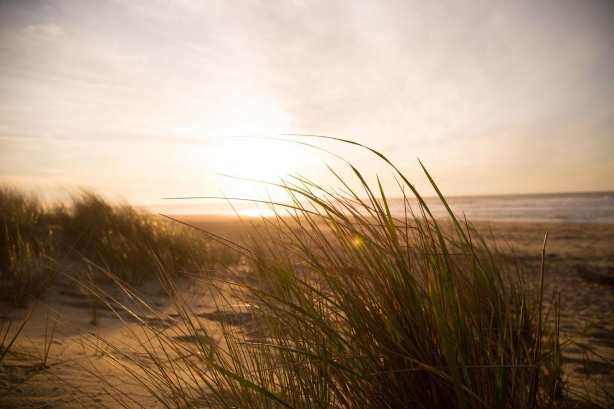 Kleine Nordseewelle Ohne Hund Norden Buitenkant foto