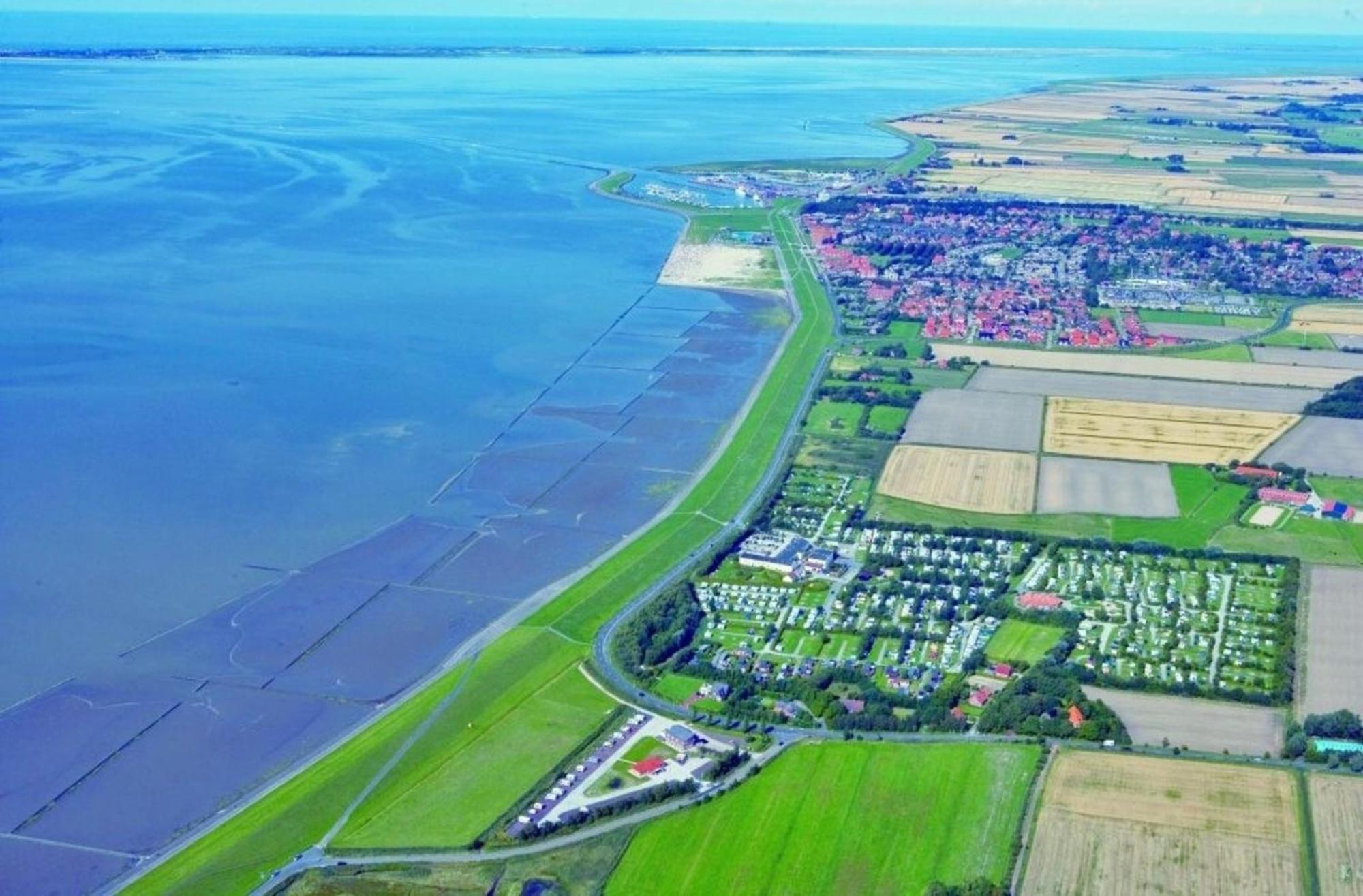 Kleine Nordseewelle Ohne Hund Norden Buitenkant foto